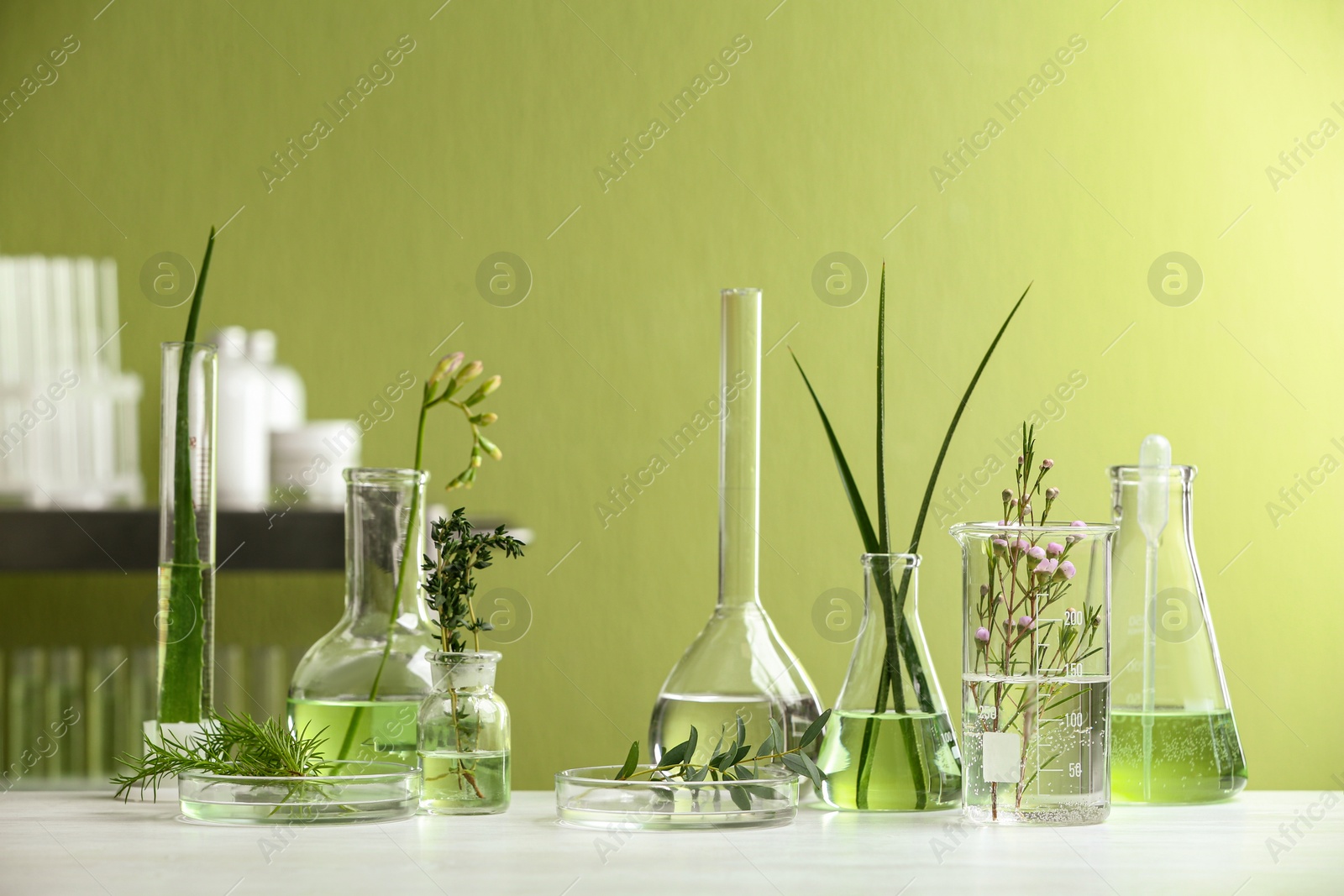 Photo of Ingredients for herbal cosmetic products in laboratory