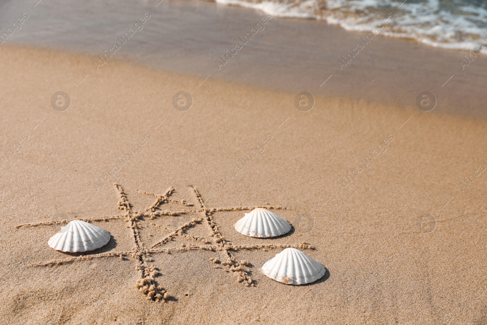 Photo of Playing Tic tac toe game with shells on sand near sea. Space for text