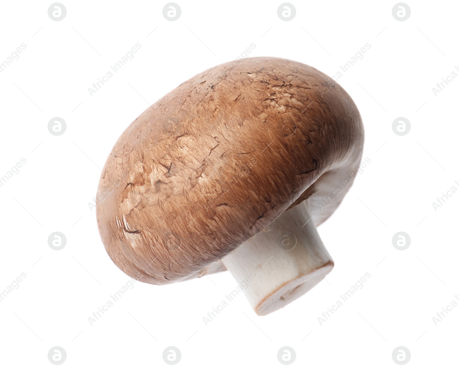 Photo of Fresh champignon mushroom isolated on white. Healthy food