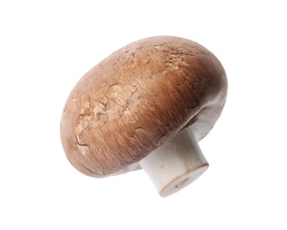 Photo of Fresh champignon mushroom isolated on white. Healthy food