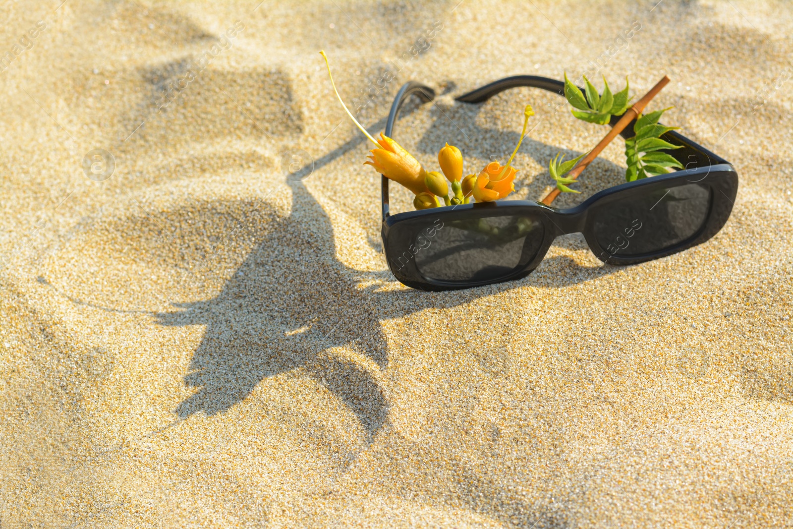 Photo of Stylish sunglasses and tropical flower on sand. Space for text