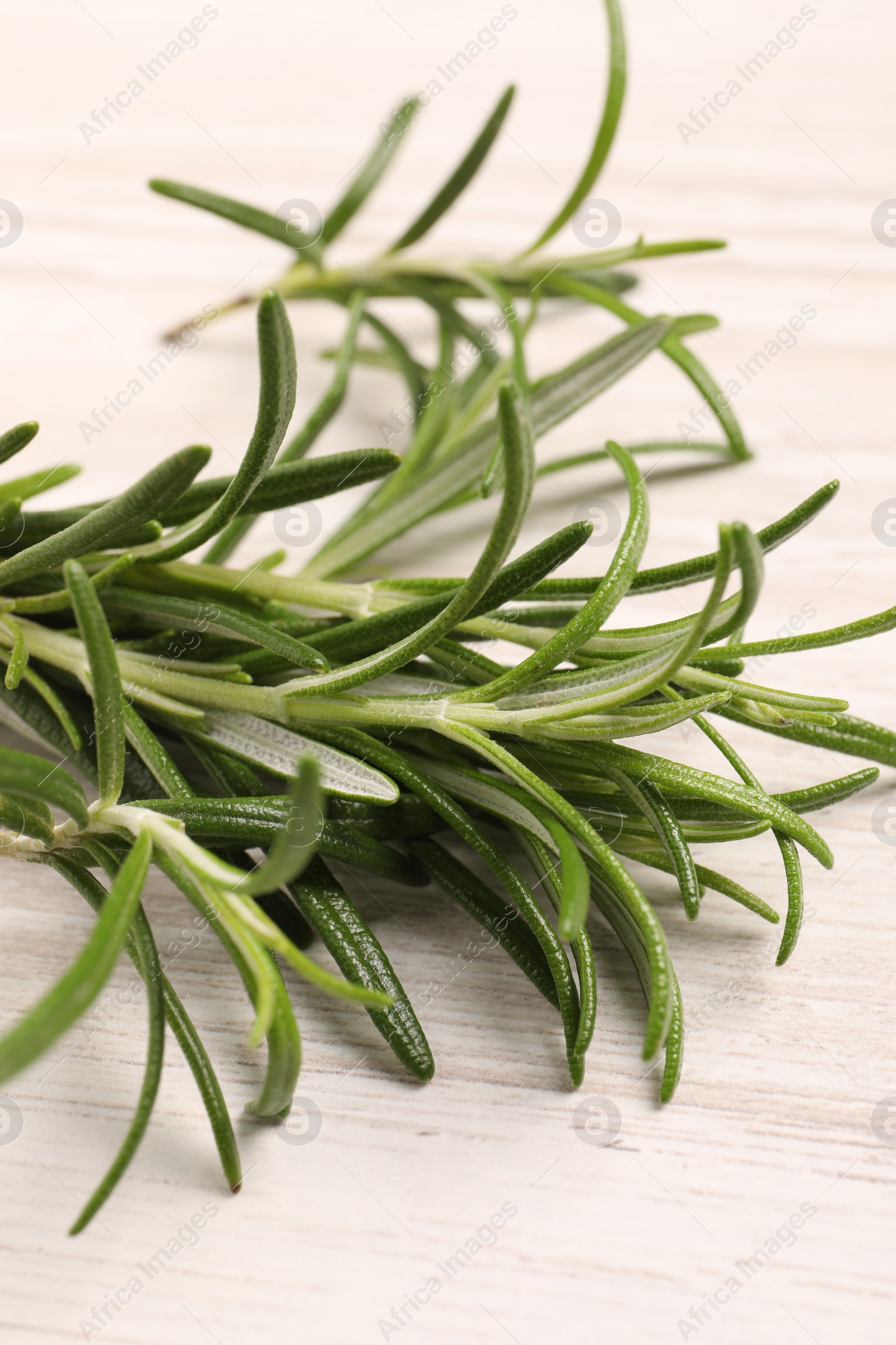 Photo of Fresh green rosemary on white wooden table, closeup