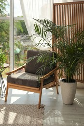 Photo of Indoor terrace interior with stylish furniture and houseplants