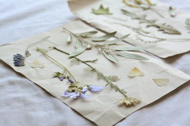 Photo of Sheets of paper with dried flowers and leaves on white fabric, closeup