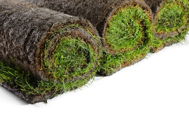 Photo of Rollsgrass sod on white background