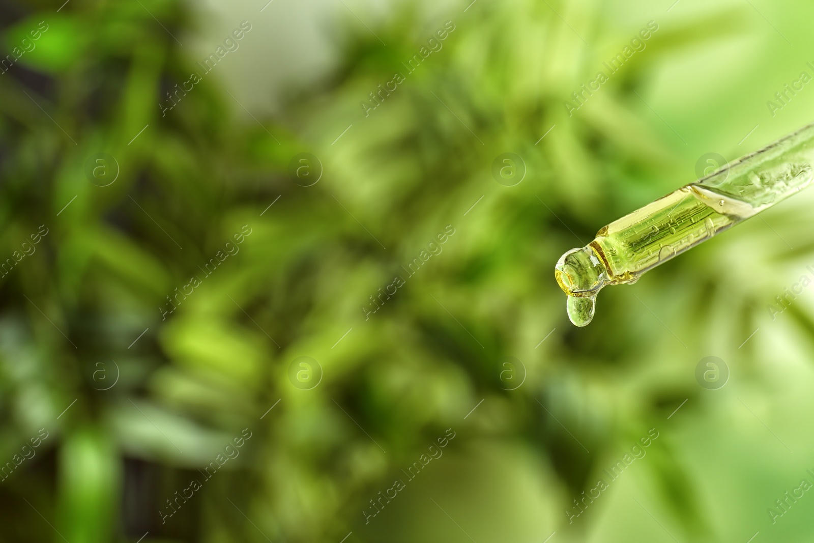 Photo of Dropper with essential oil on blurred background
