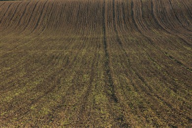 Photo of View of agricultural field with fertile soil outdoors