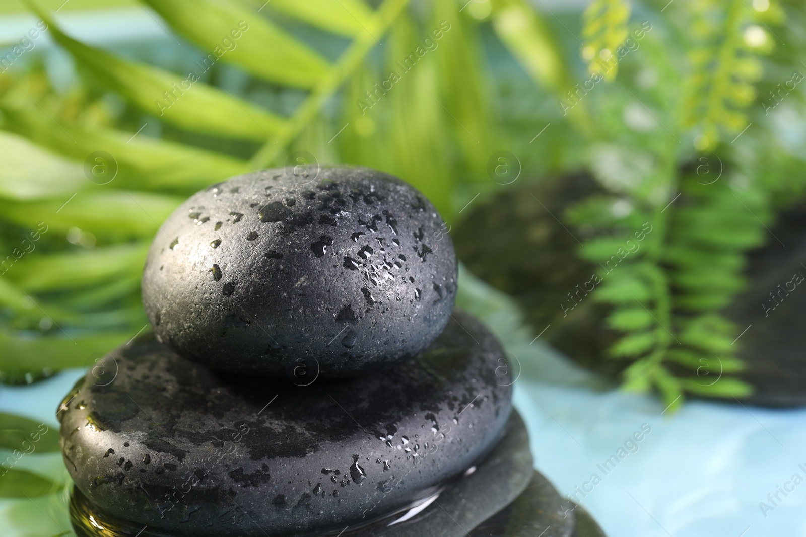 Photo of Wet spa stones on blurred background, closeup