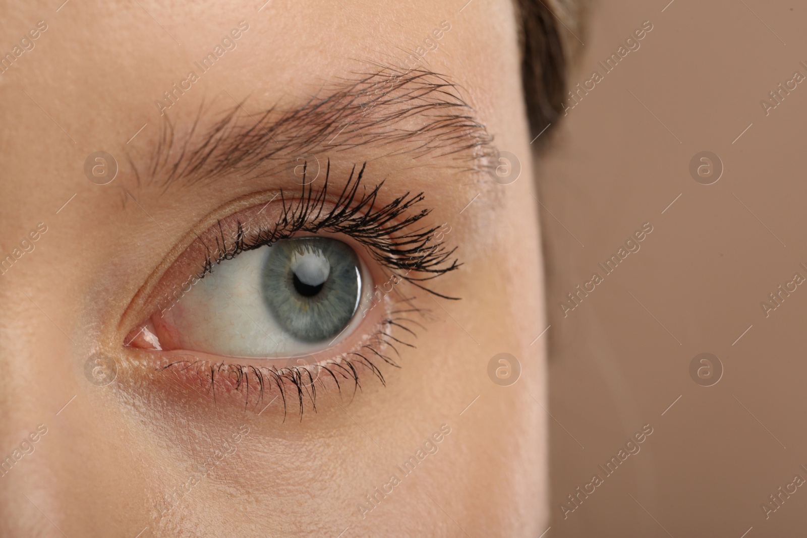 Photo of Woman with long eyelashes after mascara applying against light brown background, closeup