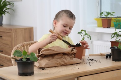 Cute little girl planting seedling into pot at wooden table in room