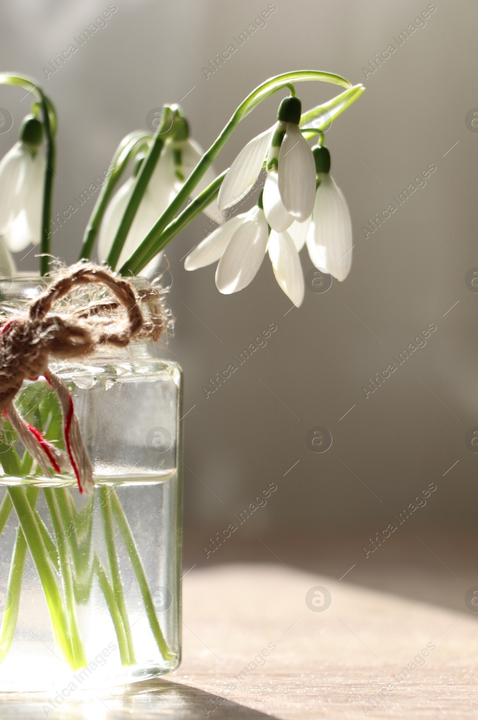 Photo of Beautiful snowdrops in glass jar indoors. First spring flowers