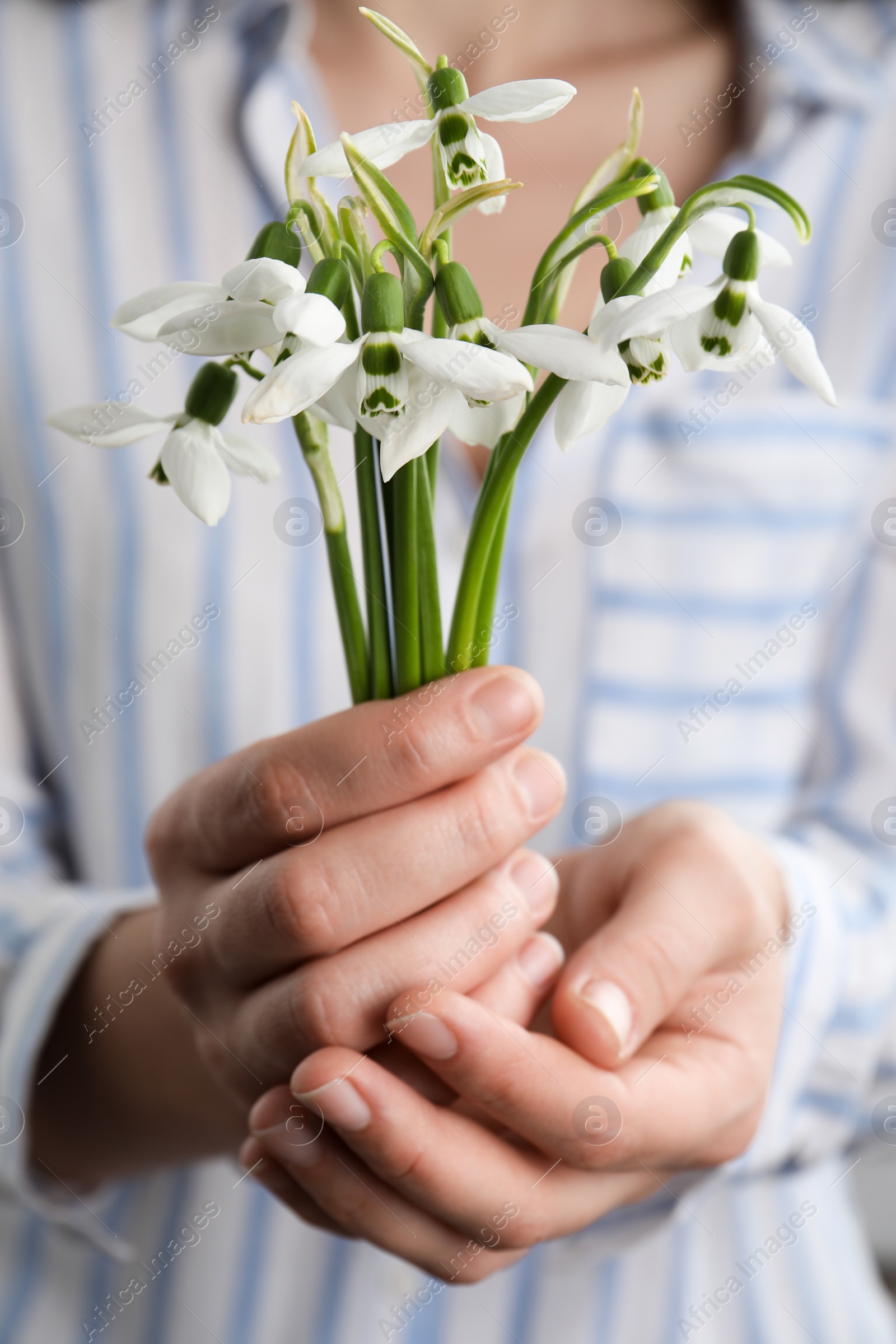 Photo of Woman holding beautiful bouquet of snowdrops, closeup