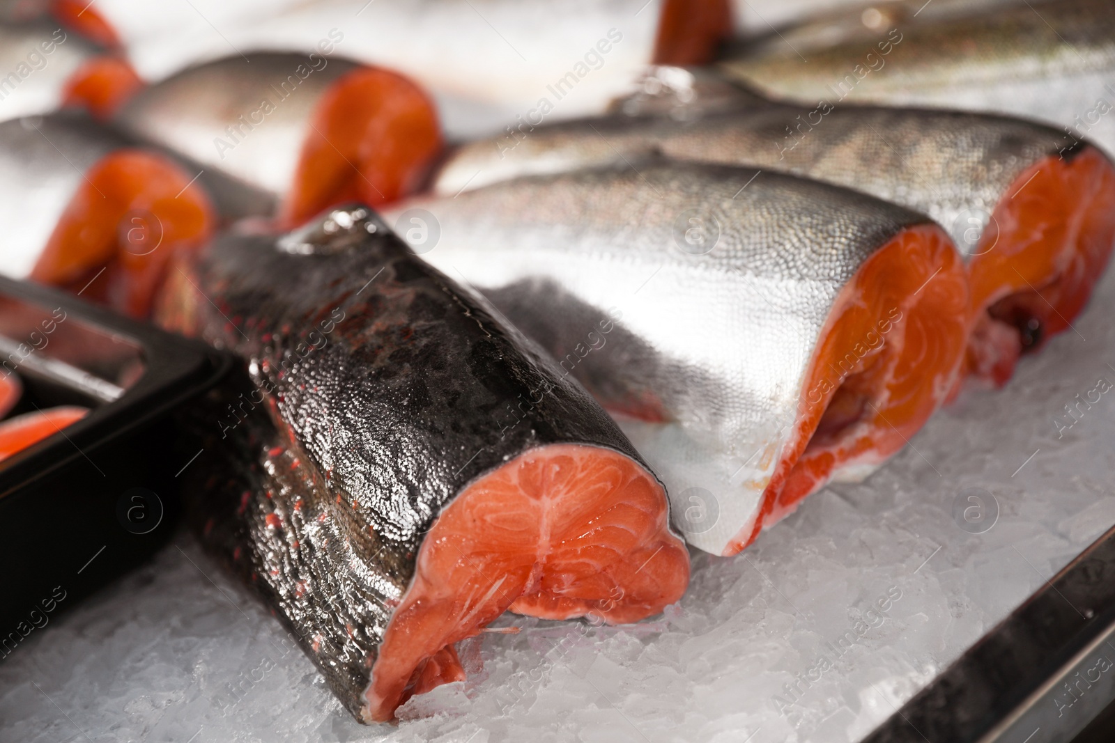 Photo of Fresh fish on ice in supermarket, closeup