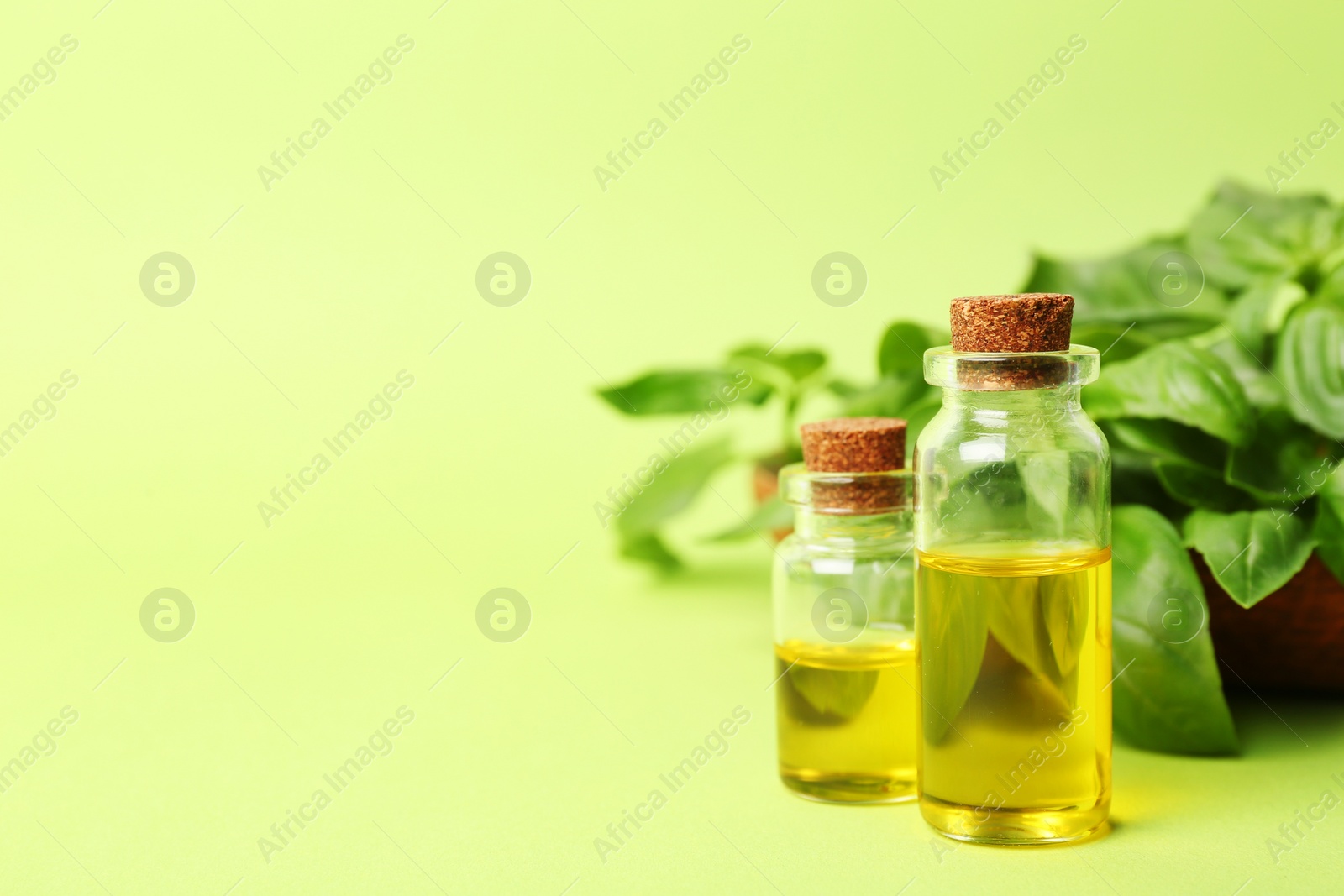Photo of Bottles of basil oil and leaves with space for text on color background
