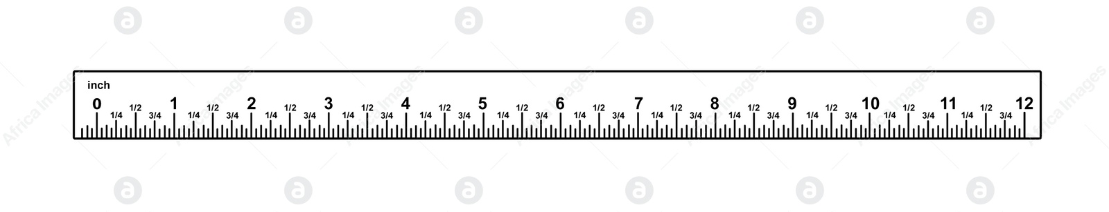 Image of Measuring length markings in inches of ruler on white background. Illustration