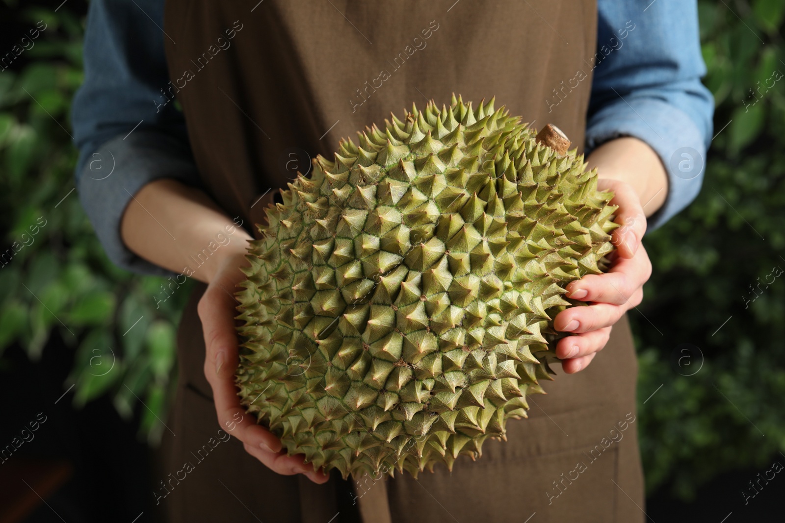 Photo of Woman holding fresh ripe durian outdoors, closeup