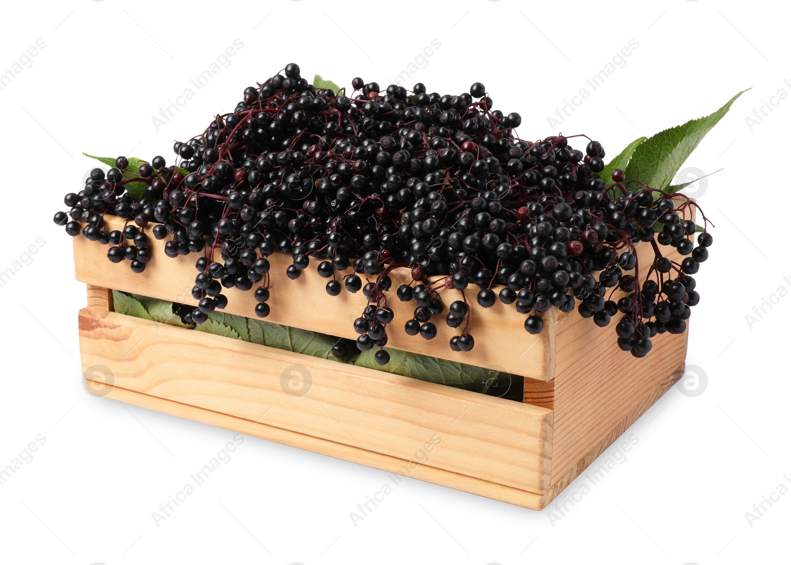 Photo of Crate with ripe elderberries and green leaves isolated on white