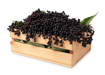 Crate with ripe elderberries and green leaves isolated on white