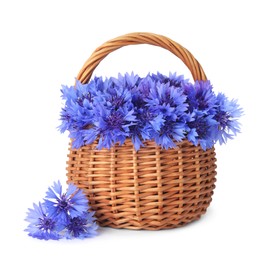 Photo of Bunch of beautiful cornflowers in basket on white background