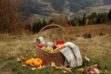 Wicker picnic basket with thermos, snacks and plaid in nature on autumn day