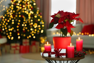 Potted poinsettia and burning candles on coffee table in decorated room., space for text. Christmas traditional flower