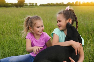 Photo of Cute little girls with dog in green field
