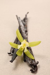 Photo of Vanilla pods and beautiful flower on beige background, closeup