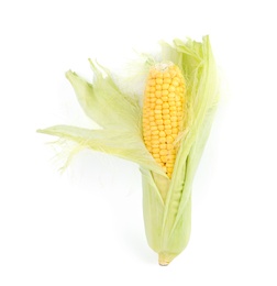 Photo of Ripe raw corn cob with husk isolated on white