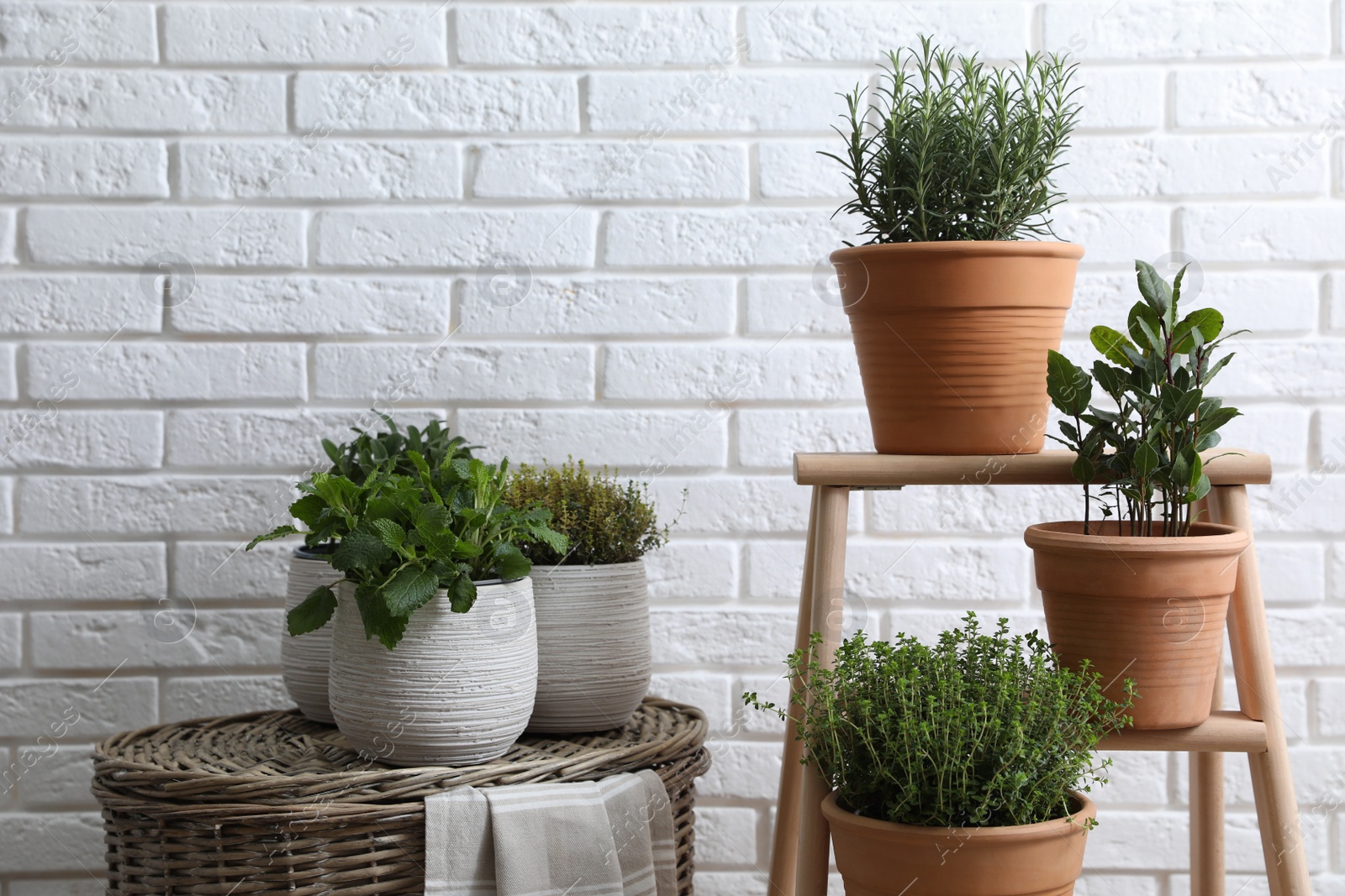 Photo of Different aromatic potted herbs near white brick wall indoors