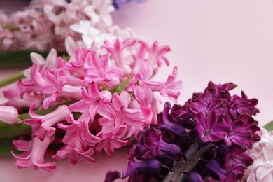 Photo of Beautiful spring hyacinth flowers on color background, closeup