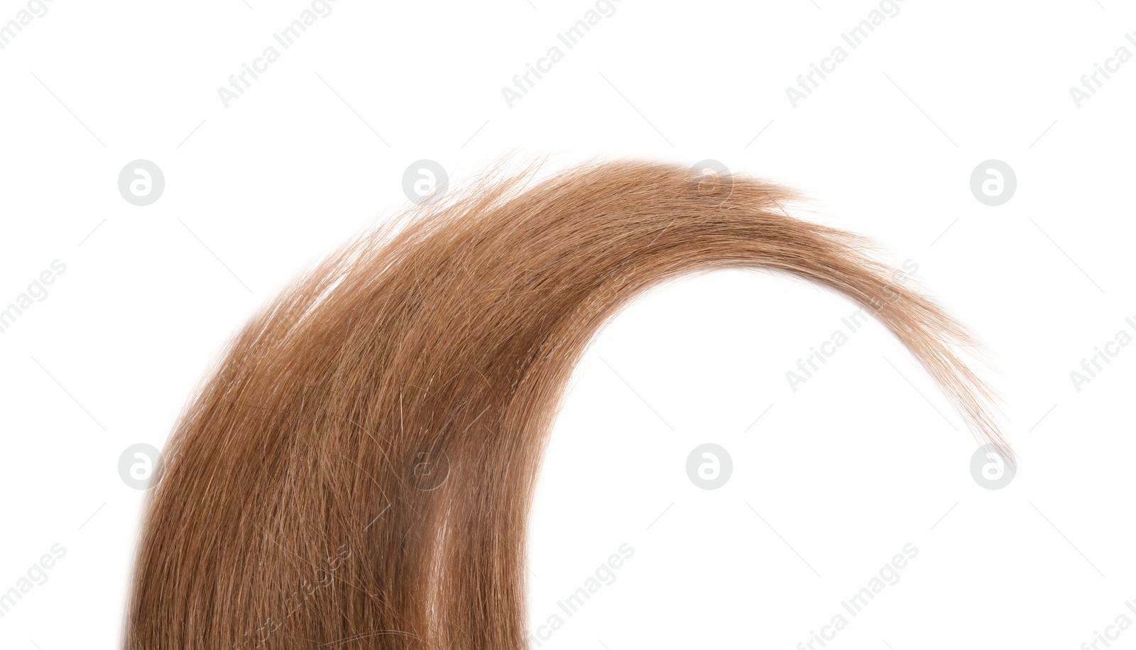 Photo of Lock of healthy brown hair on white background