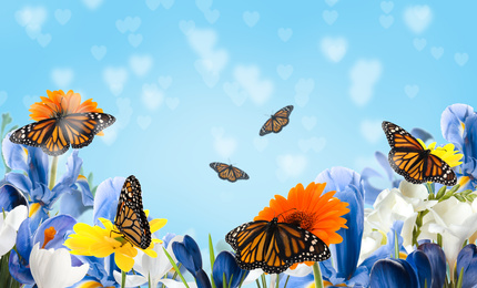 Image of Beautiful blooming flowers and fragile monarch butterflies