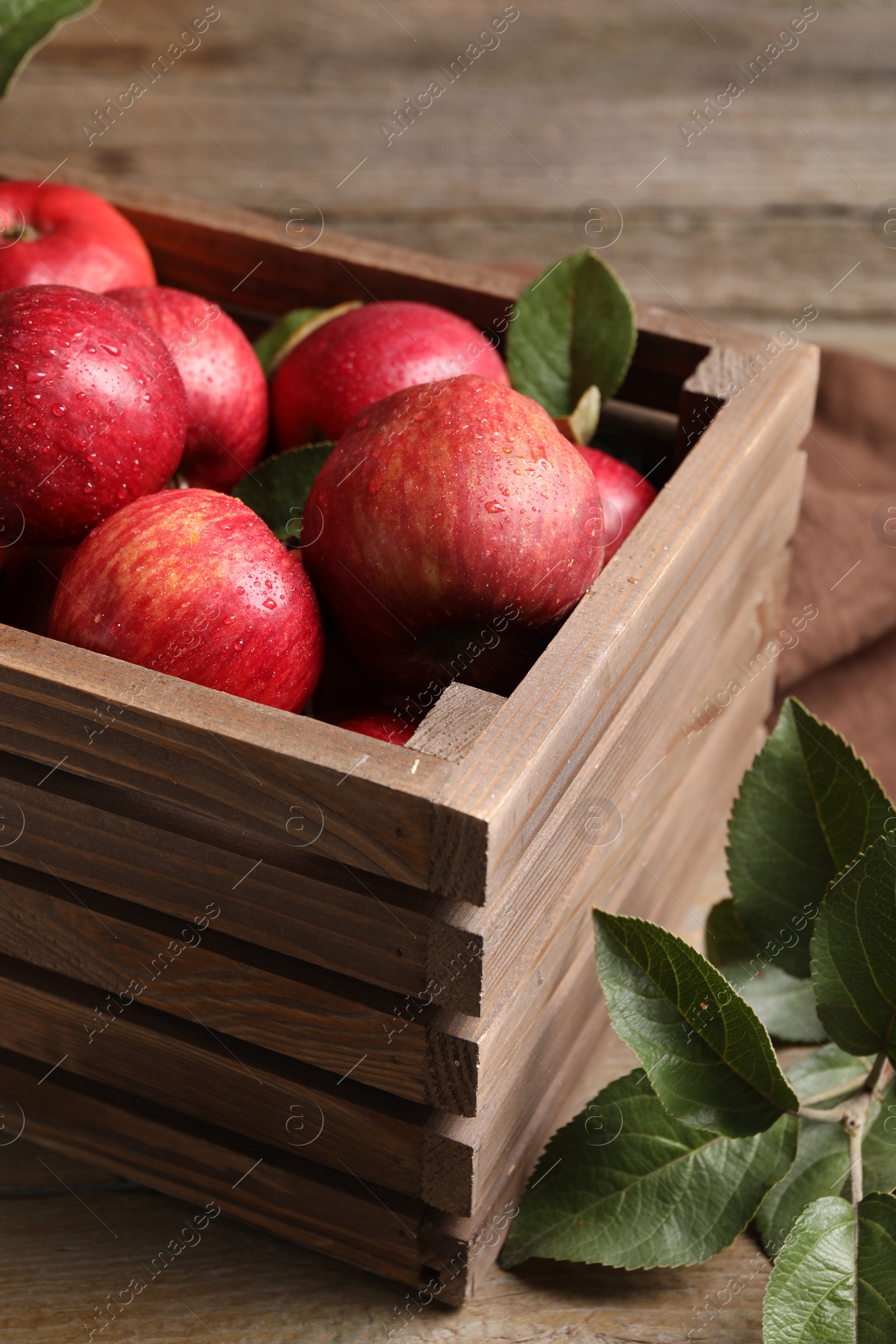 Photo of Ripe red apples with water drops in crate and green leaves on wooden table