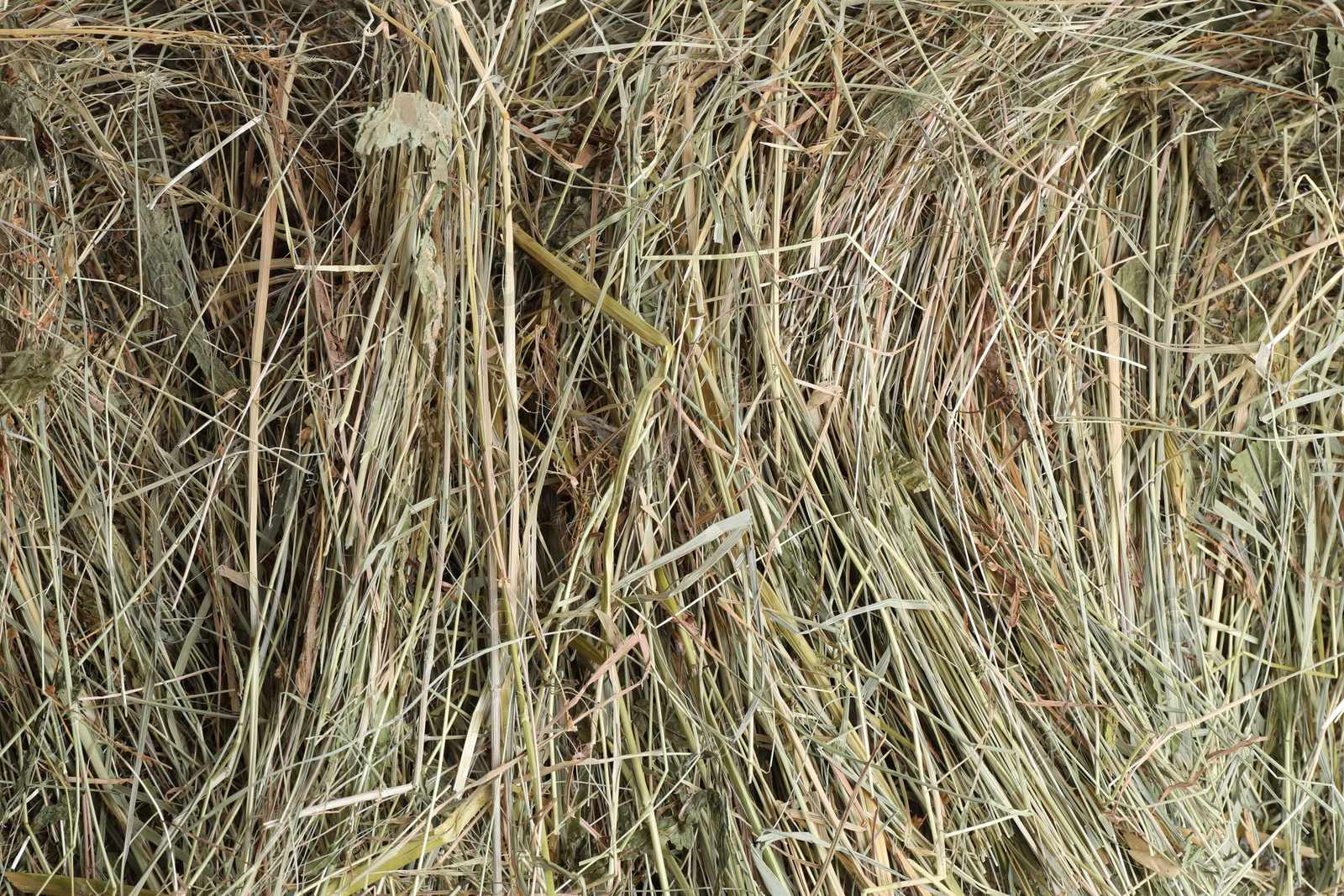 Photo of Pile of dried hay as background, top view