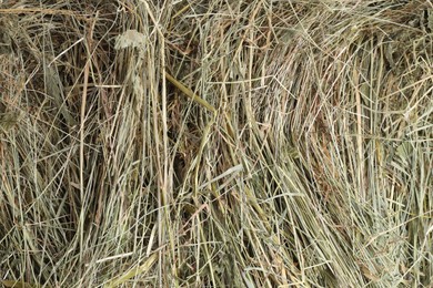 Pile of dried hay as background, top view