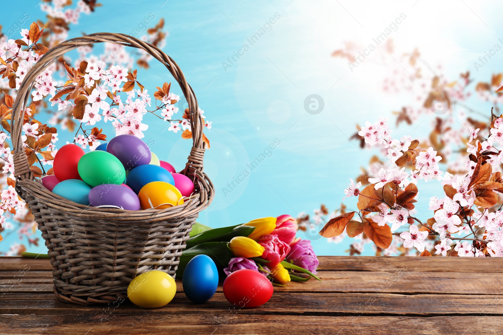 Image of Colorful Easter eggs in wicker basket and tulips on wooden table outdoors, space for text 