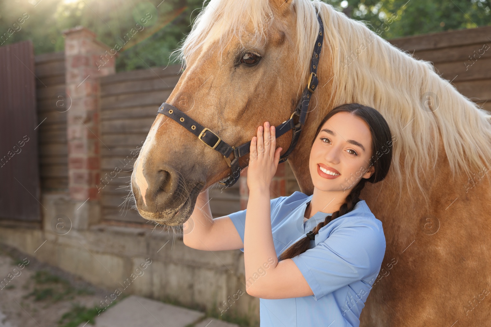 Photo of Veterinarian with adorable horse outdoors. Pet care