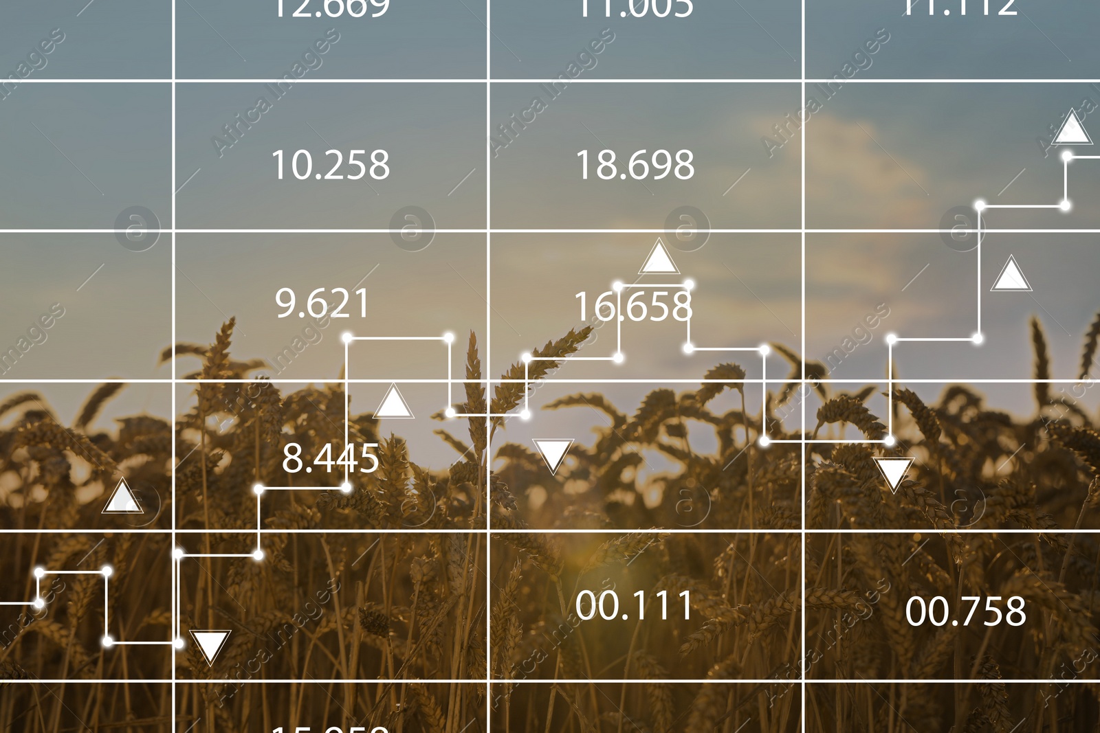 Image of Grain prices. Wheat field and graph, double exposure