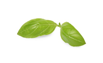 Photo of Fresh green basil leaves isolated on white