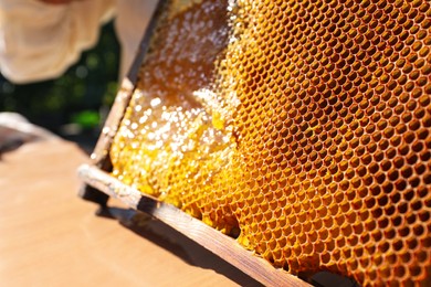 Photo of Uncapped honeycomb frame on wooden table outdoors, closeup