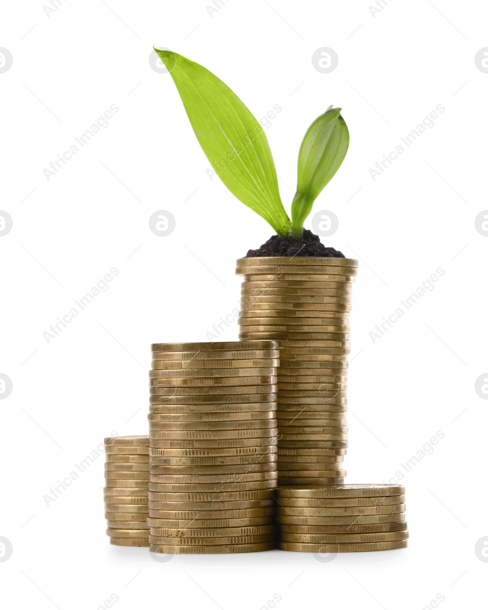 Photo of Stacks of coins and green plant on white background. Investment concept