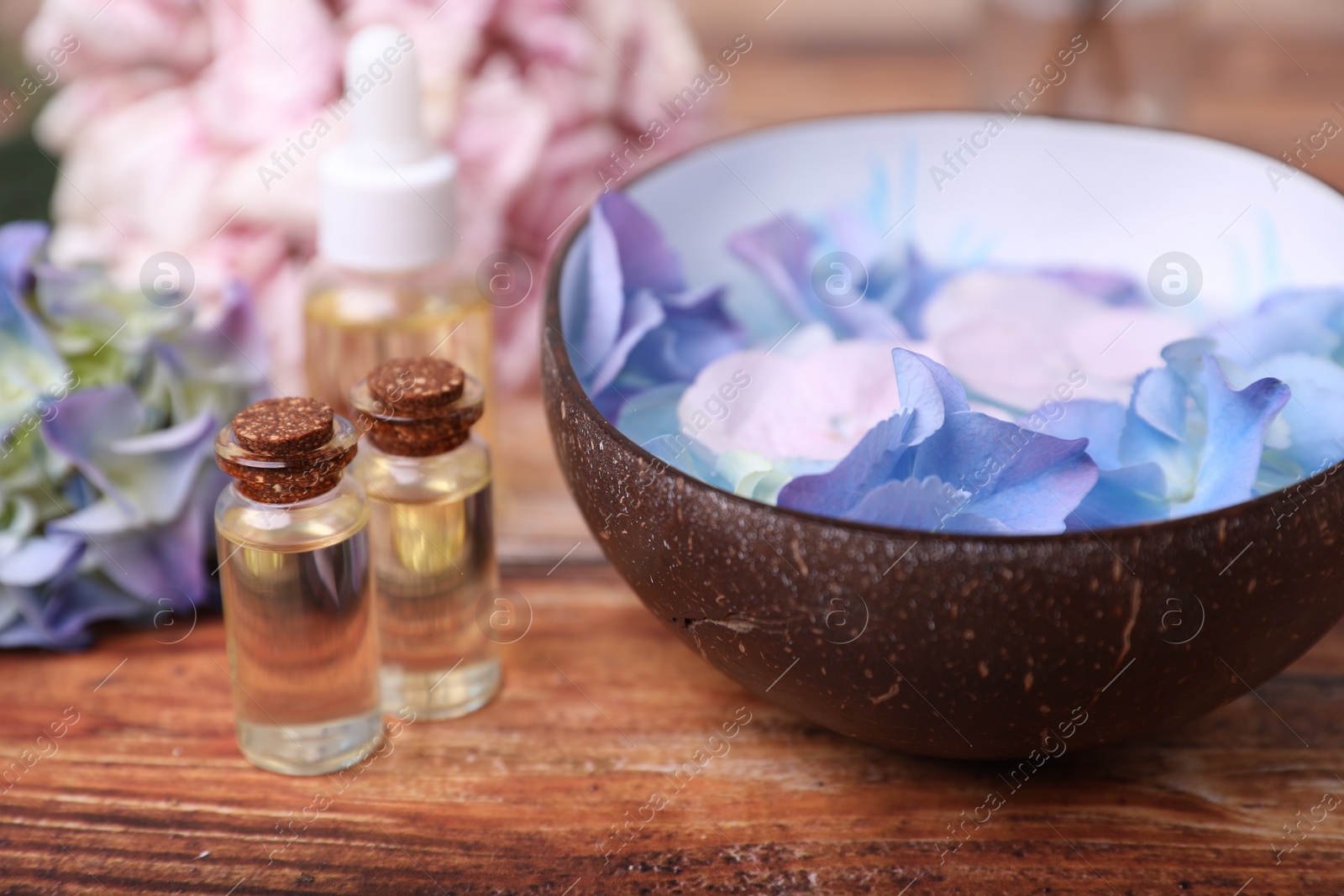 Photo of Spa composition. Aromatic water in bowl, bottles of essential oil and flowers on wooden table, closeup