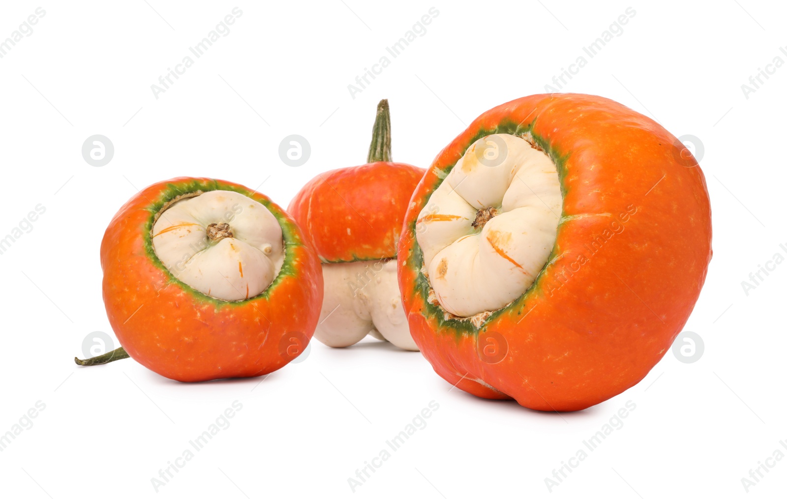 Photo of Different fresh ripe pumpkins isolated on white