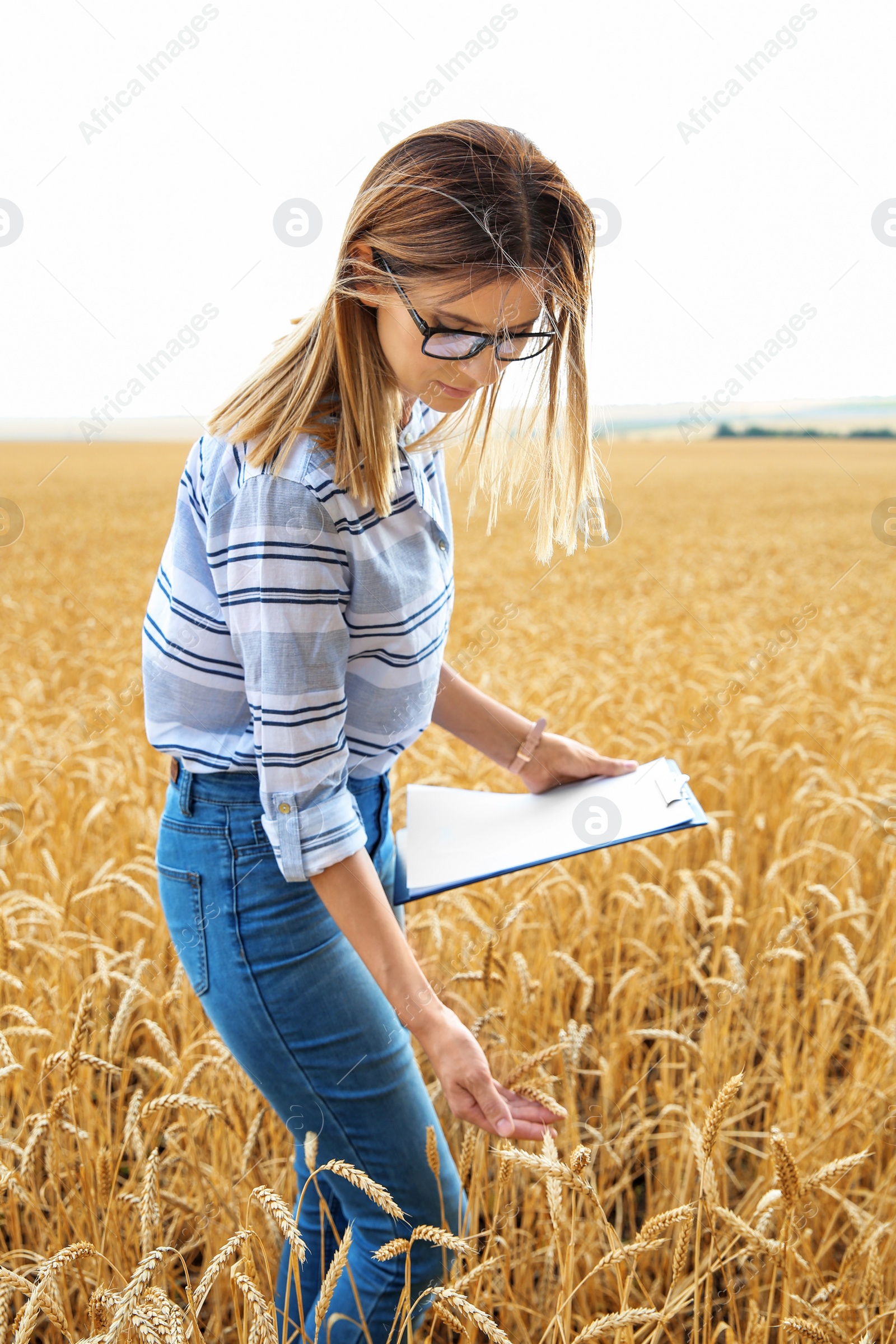 Photo of Young agronomist with clipboard in grain field. Cereal farming