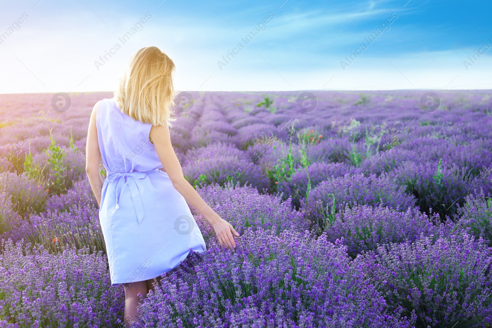 Photo of Young woman in lavender field on summer day