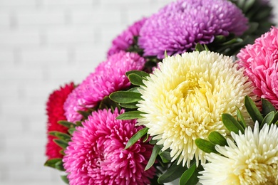 Photo of Beautiful aster flowers on white background, closeup