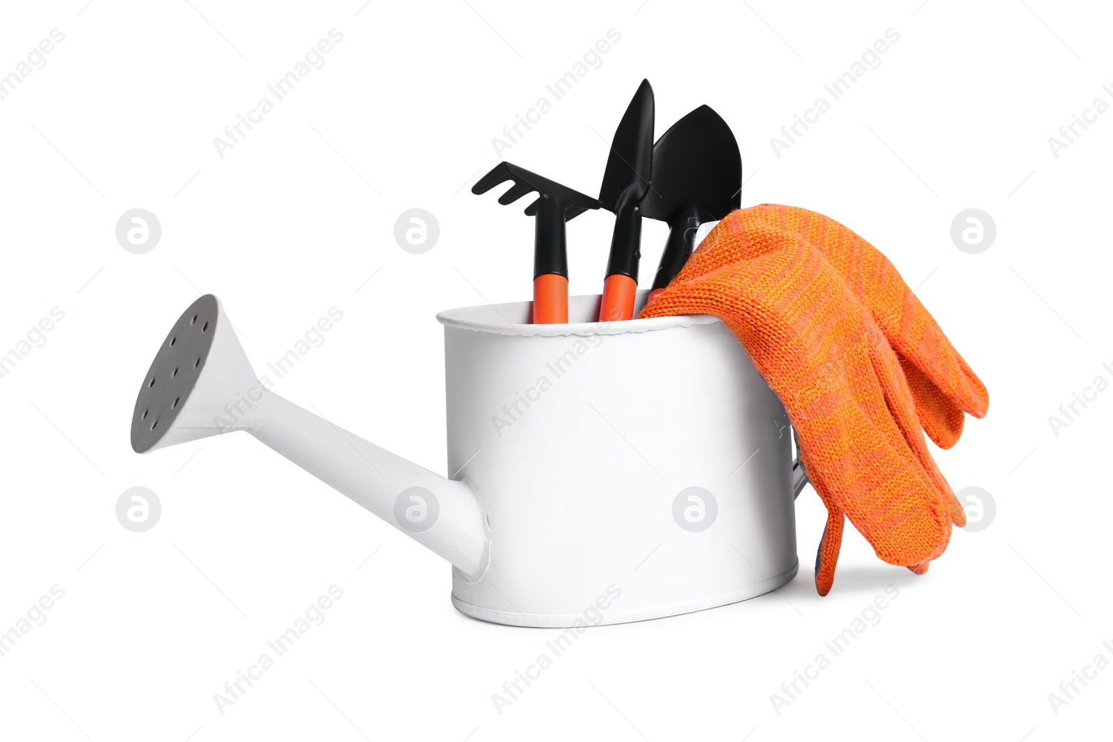 Photo of Watering can and gardening tools on white background