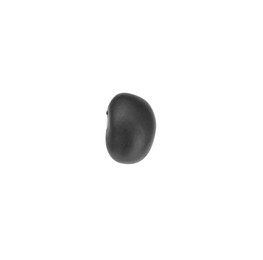 Photo of One raw kidney bean isolated on white