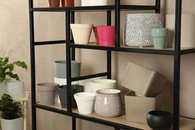 Shelving unit with many different houseplant pots near beige wall indoors