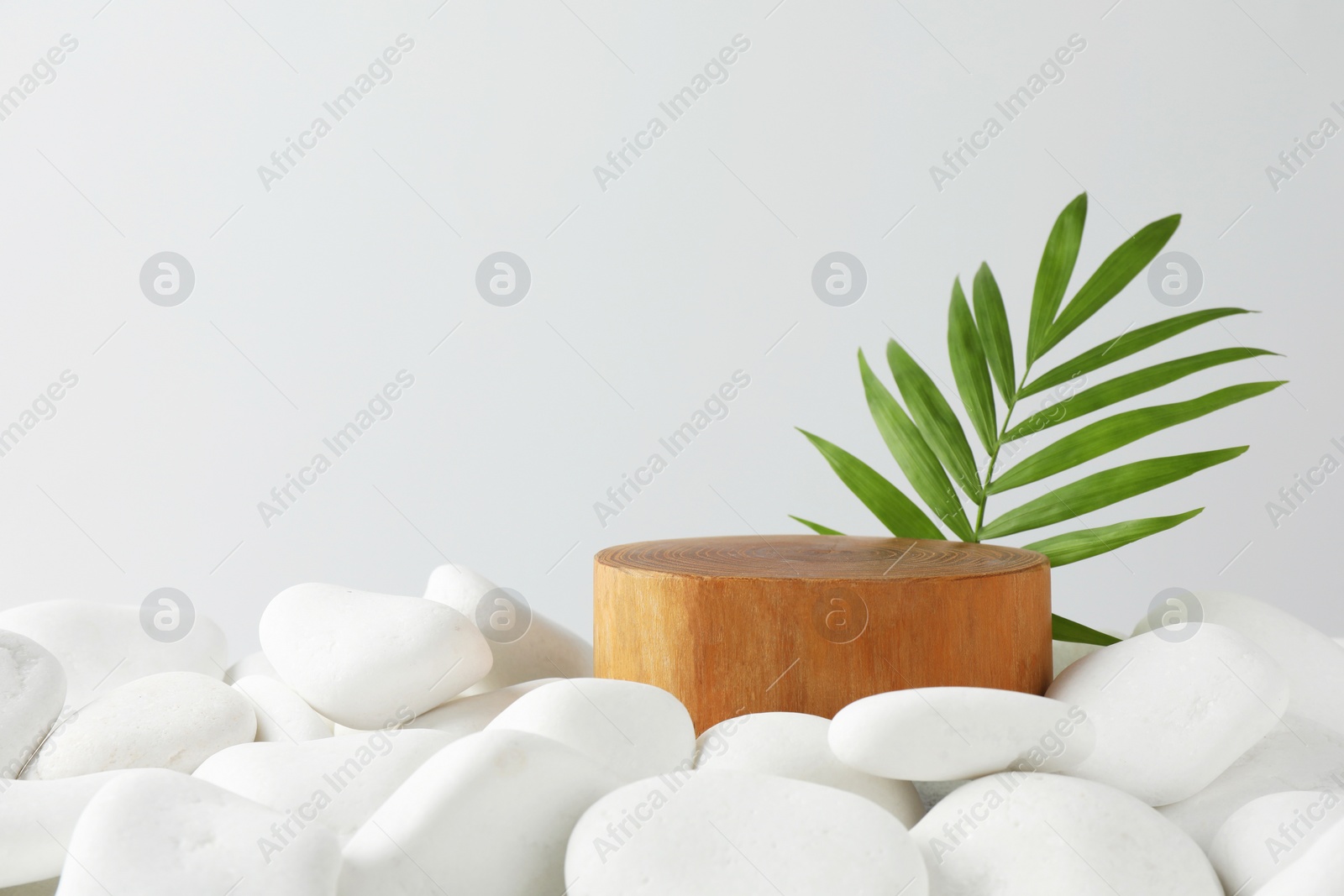 Photo of Presentation for product. Wooden podium and green twig on white pebbles. Space for text